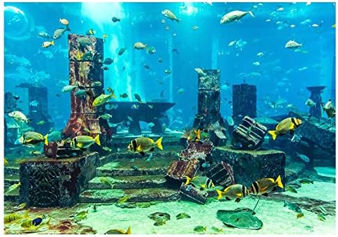 Víz alatti Világ Akvárium Háttér Trópusi Hal akvárium, Fali Matrica, Akvárium Háttér Víz alatti Poszter