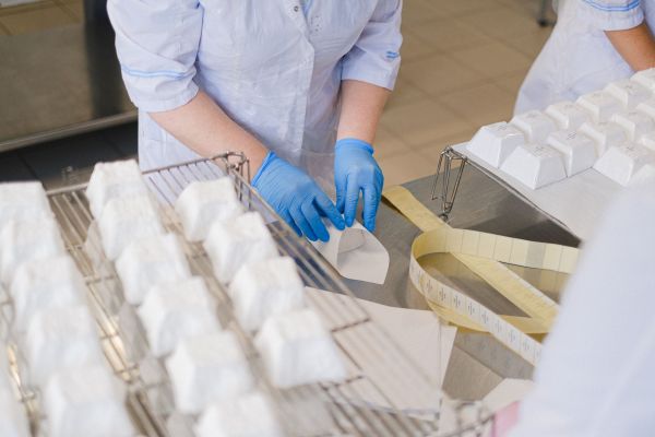 Comment l'industrie alimentaire impacte-t-elle l'environnement ?