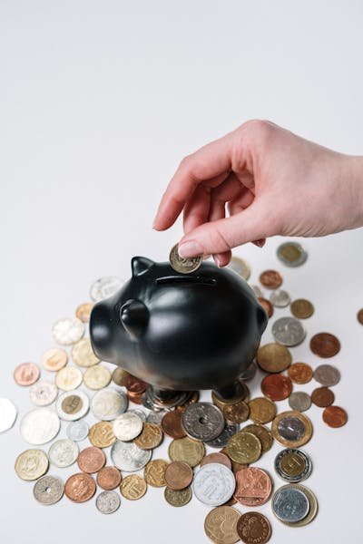 Tout savoir sur le LEP : nouveautés et avantages à découvrir