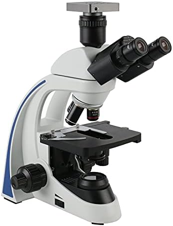 KXDFDC 40X - 1000-1600X 2000X Laboratóriumi Szakmai Biológiai Mikroszkóp Trinocular Mikroszkóp (Méret
