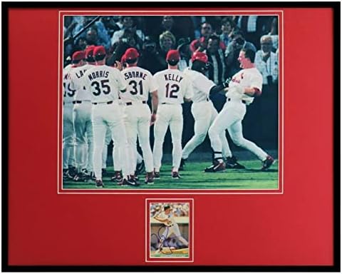 Mark McGwire Aláírt Aláírt Keretes 16x20 fényképek Megjelenítési SZÖVETSÉG Cardinals - Dedikált MLB Fotók